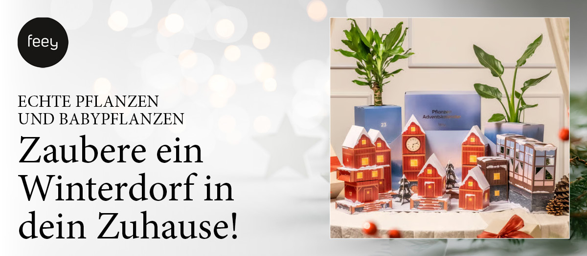 feey advent2025 ALLE18